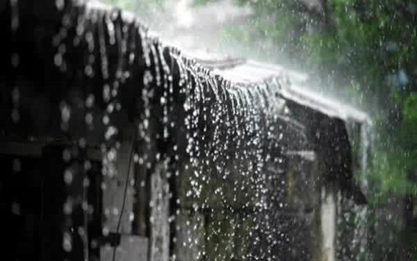 Orange Alert Amid Relentless Rain in Tripura