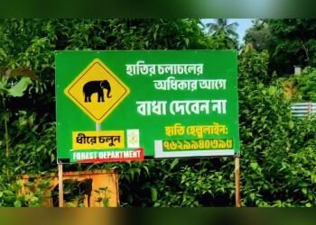 Recurring elephant raids disrupt life in Tripura