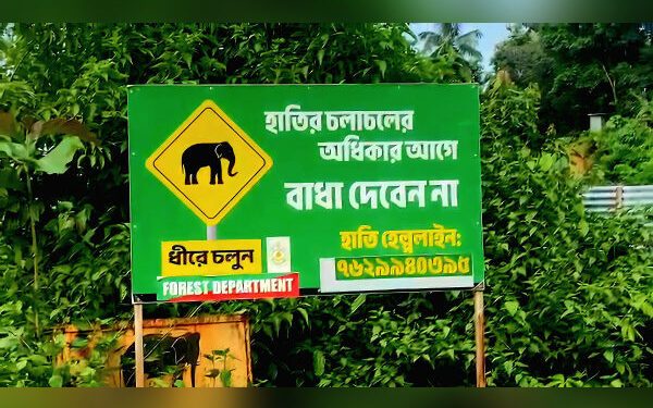 Recurring elephant raids disrupt life in Tripura