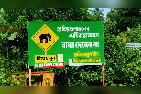 Recurring elephant raids disrupt life in Tripura