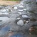 Tinku Roy inspects long-pending Unakoti road