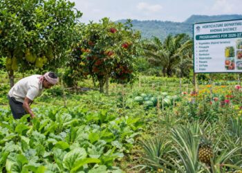Khowai: Horticulture Department Plans Crop Expansion