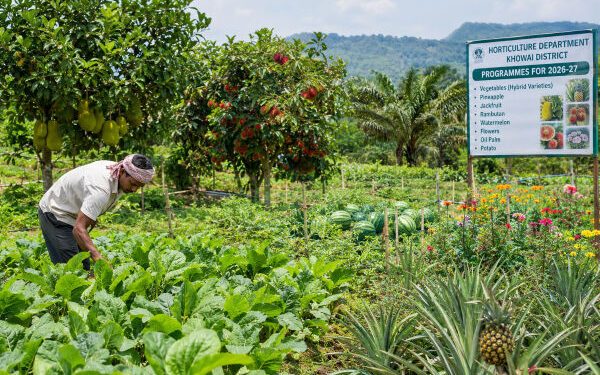Khowai: Horticulture Department Plans Crop Expansion