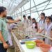 Tripura Students Gain Field Experience in Agriculture Under NSQF Programme