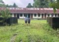 Locals seek education department intervention over Belbari school issues