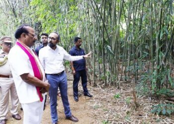 Nallu seeks wider market for Tripura’s bamboo products