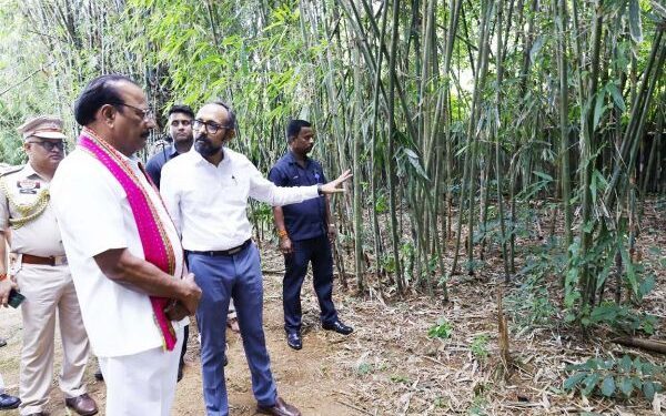 Nallu seeks wider market for Tripura’s bamboo products