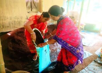 Tripura woman’s vermicompost venture grows into Rs 5 lakh monthly business