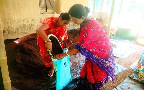 Tripura woman’s vermicompost venture grows into Rs 5 lakh monthly business
